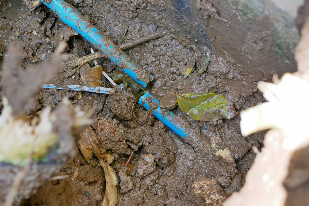 Root intrusion - Plumbers 911